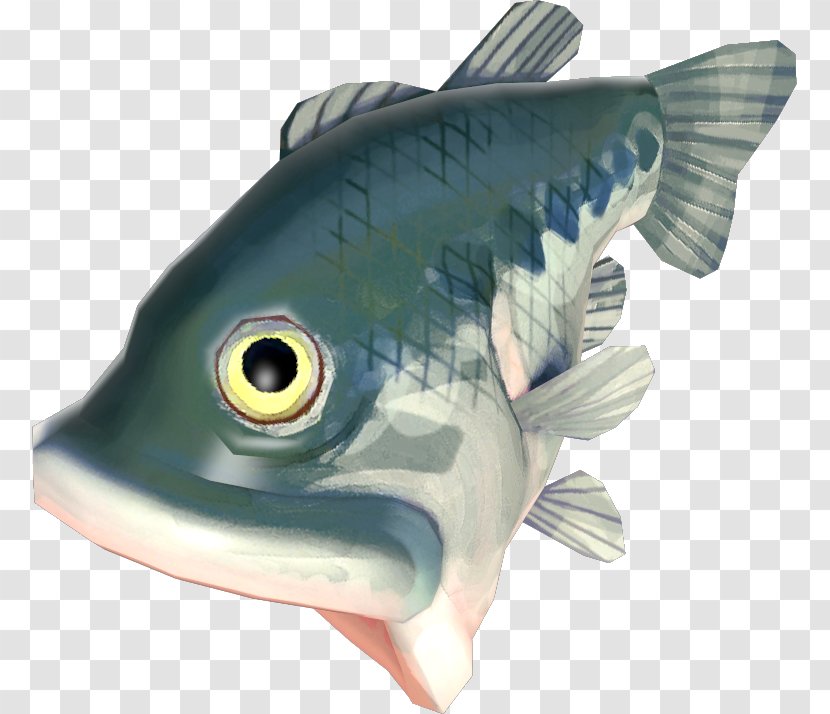 Bony Fishes Oily Fish - Organism Transparent PNG