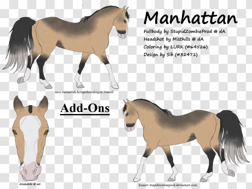 Mane Mustang Foal Stallion Colt - Horse Transparent PNG