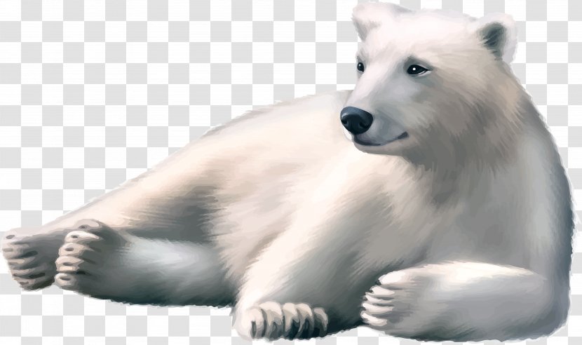 Polar Bear Brown Arctic - Carnivoran Transparent PNG