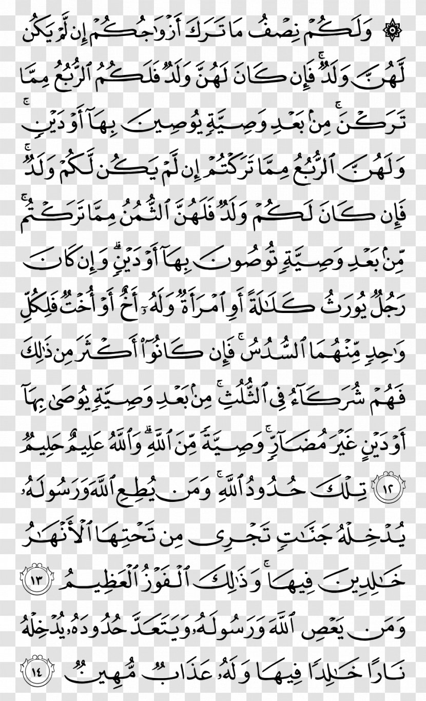 Quran Surah Al-Baqara Al-A'raf An-Nisa - Tree - Islam Transparent PNG