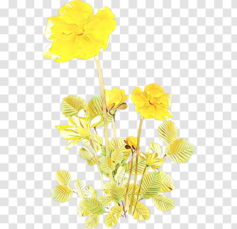 Yellow Flower Plant Stem Petal - Cut Flowers - Wildflower Pedicel Transparent PNG