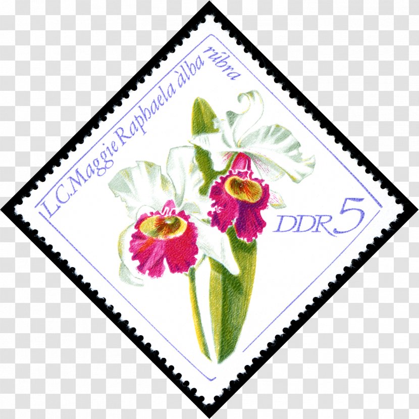 East Germany Postage Stamps Mail Floral Design - Petal Transparent PNG