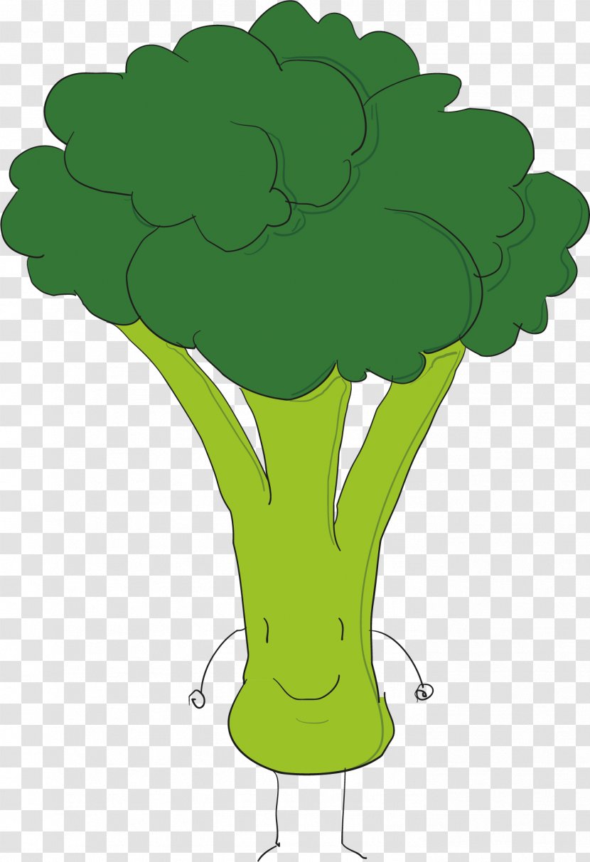 Broccoli Euclidean Vector - Plant Stem Transparent PNG
