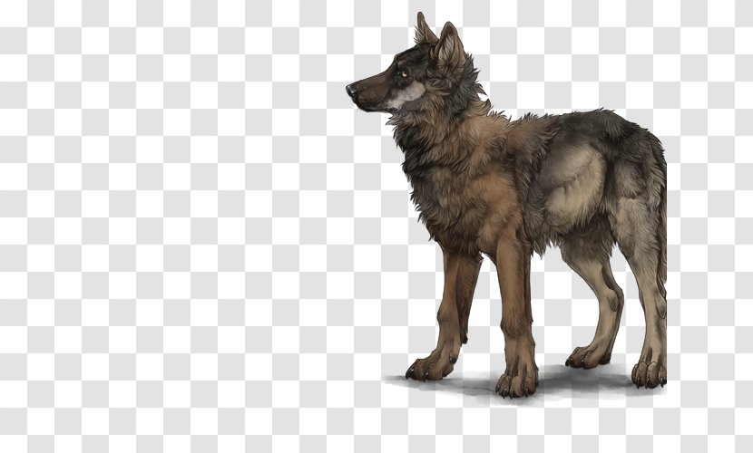Kunming Wolfdog Coyote Jackal Fur - Anjeer Transparent PNG