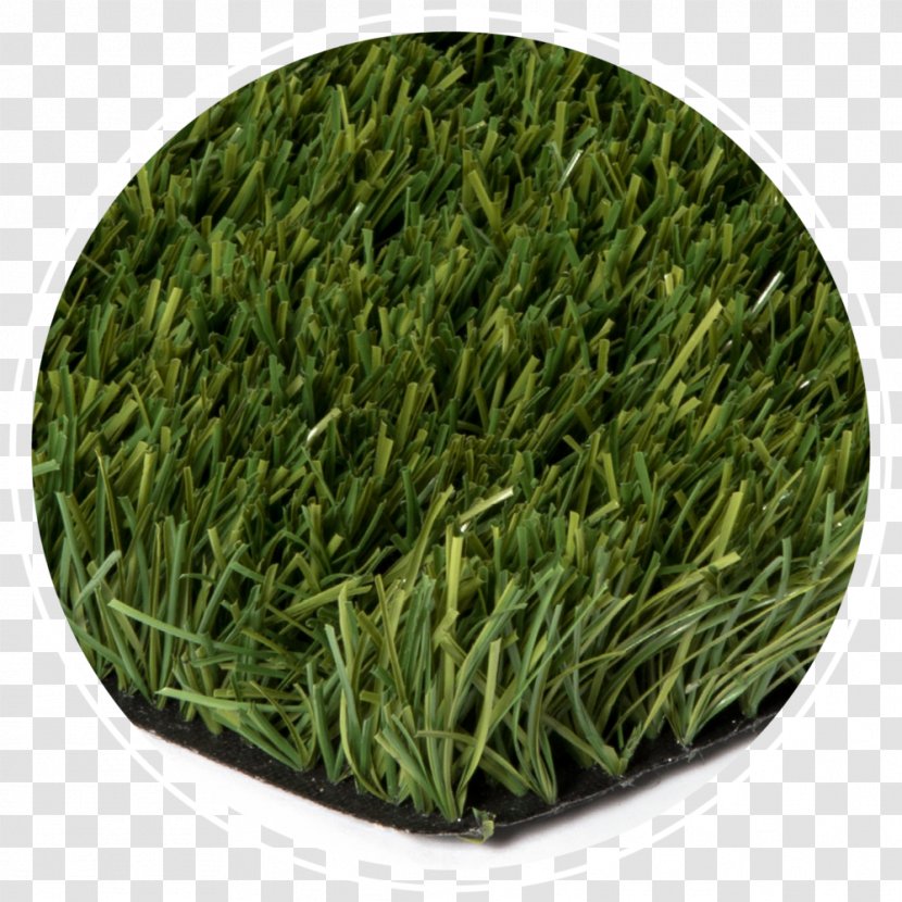 Grasses Economy Lawn Tanner's Turf - Fake Grass Transparent PNG