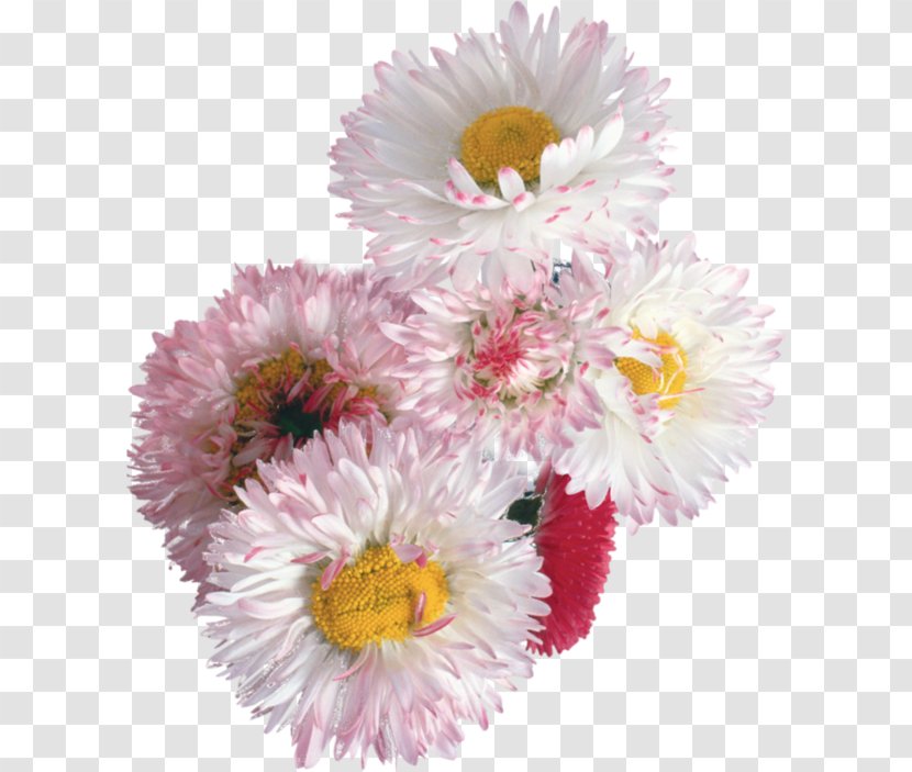 Flower Bouquet Illustration - Floristry - Floating Chrysanthemum Transparent PNG