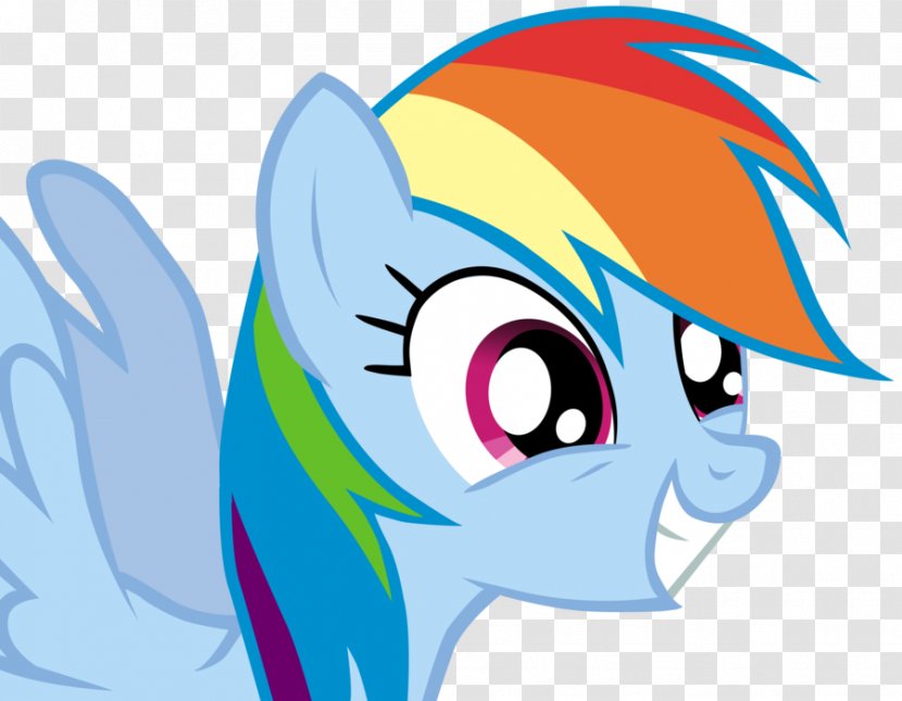 Rainbow Dash Princess Cadance My Little Pony: Friendship Is Magic Fandom - Flower Transparent PNG