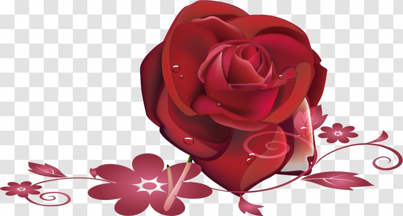 Garden Roses Beach Rose Petal - Floristry - Red Material Transparent PNG