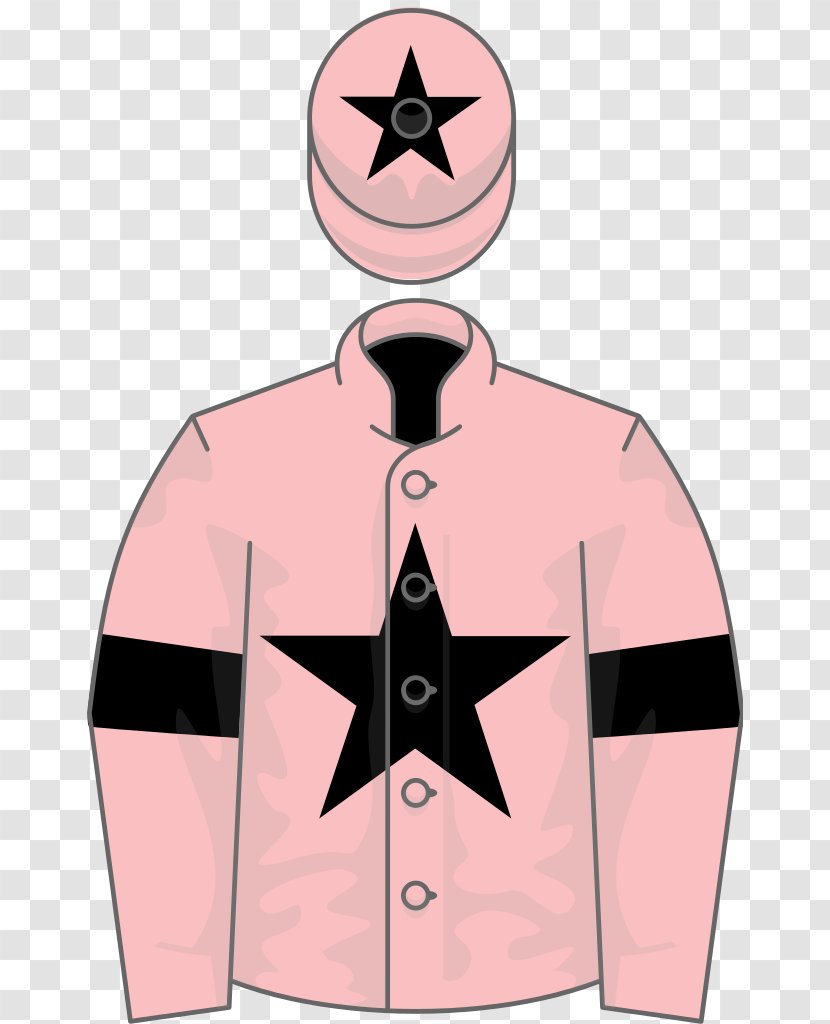 Thoroughbred Horse Racing Stock Photography Wikimedia Commons Shutterstock - Uniform - Ahorro Watercolor Transparent PNG