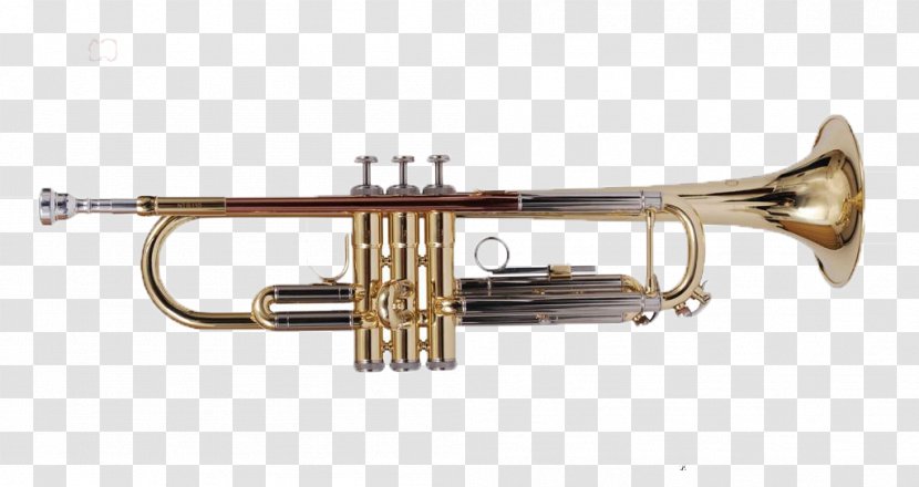 Trumpet Musical Instrument Brass F. E. Olds Cornet - Tree - He Plays The Transparent PNG