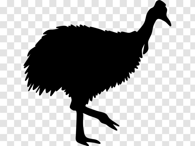 Common Ostrich Galliformes Beak Silhouette Clip Art Transparent PNG