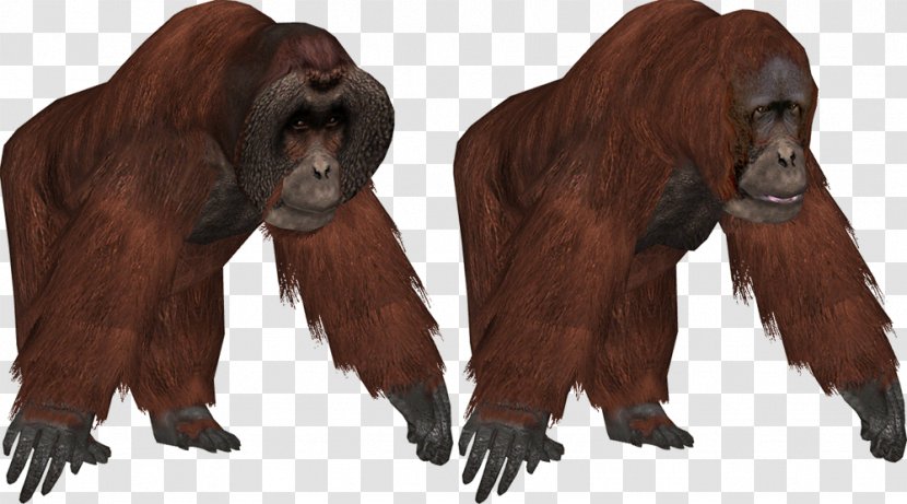 Zoo Tycoon 2 Common Chimpanzee Bornean Orangutan Sumatran - Animal Transparent PNG