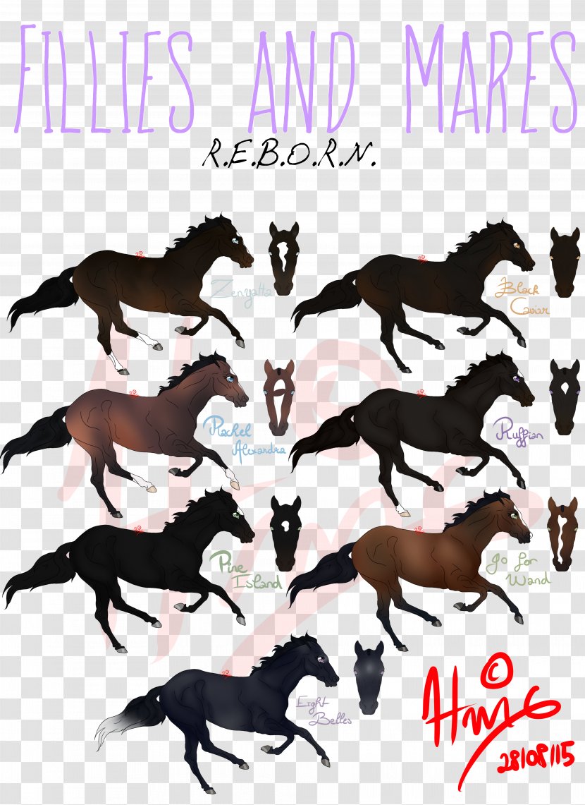 Dog Mustang Clip Art Pack Animal Horse Tack Transparent PNG