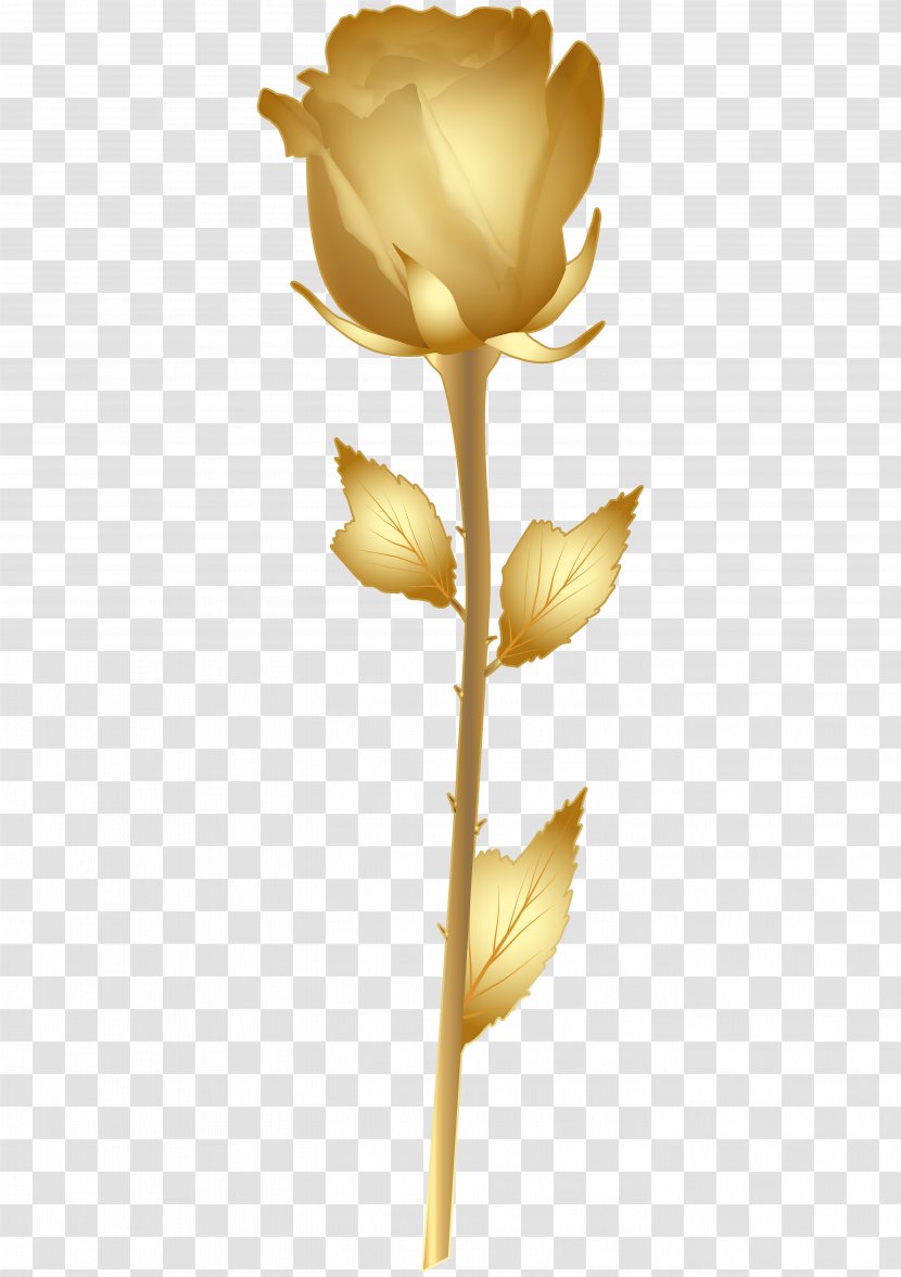 Rose Gold Flower Clip Art - Plant Transparent PNG