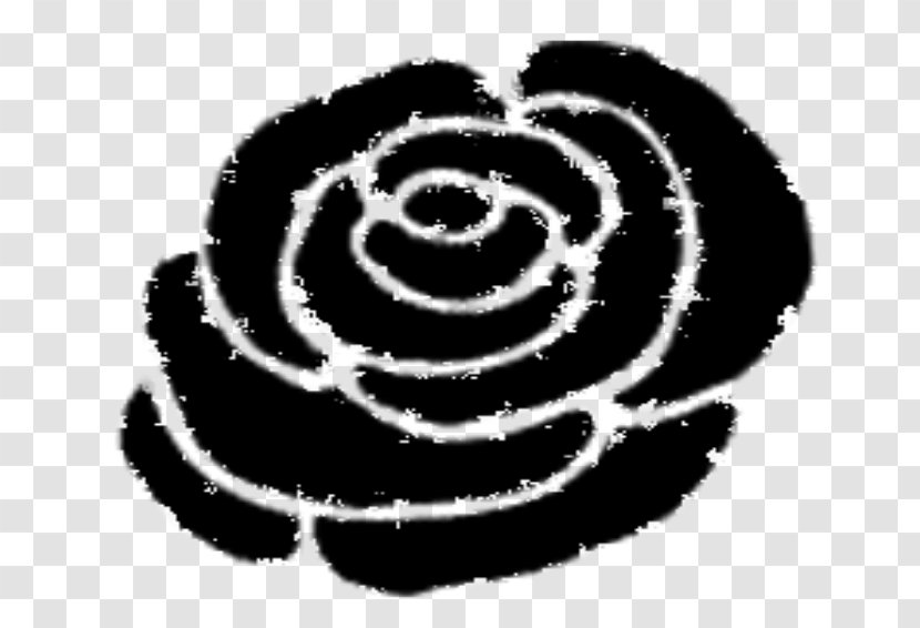 Rose Family Clip Art - Symbol Transparent PNG