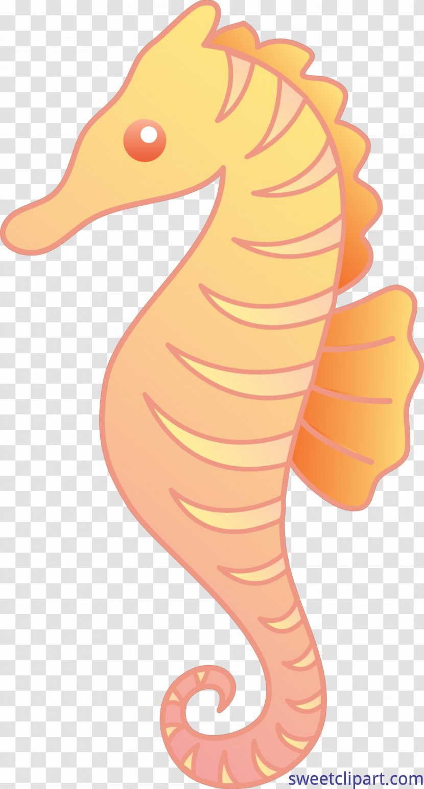 Mister Seahorse Clip Art Openclipart Vector Graphics - Aquatic Animal Transparent PNG