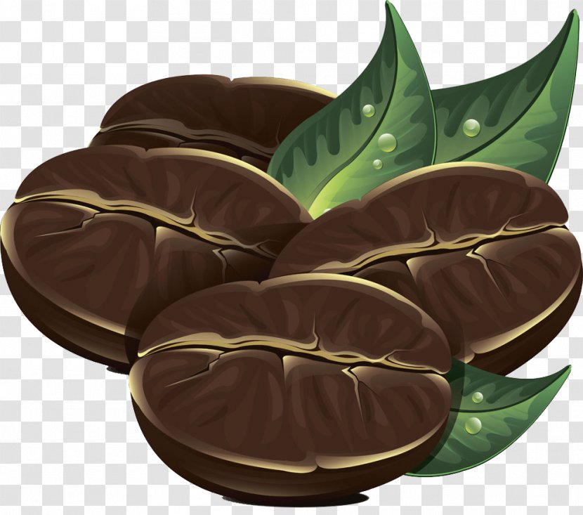 The Coffee Bean & Tea Leaf Cafe - Beans And Green Illustration Picture Transparent PNG