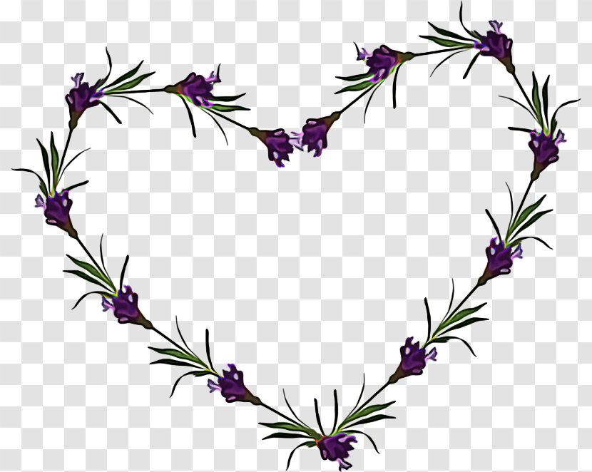 Rosemary - Flower - Wildflower Breckland Thyme Transparent PNG