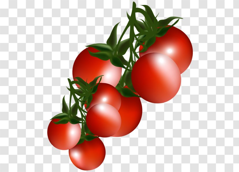 Cherry Tomato Vegetable Fruit Clip Art - Plant Transparent PNG
