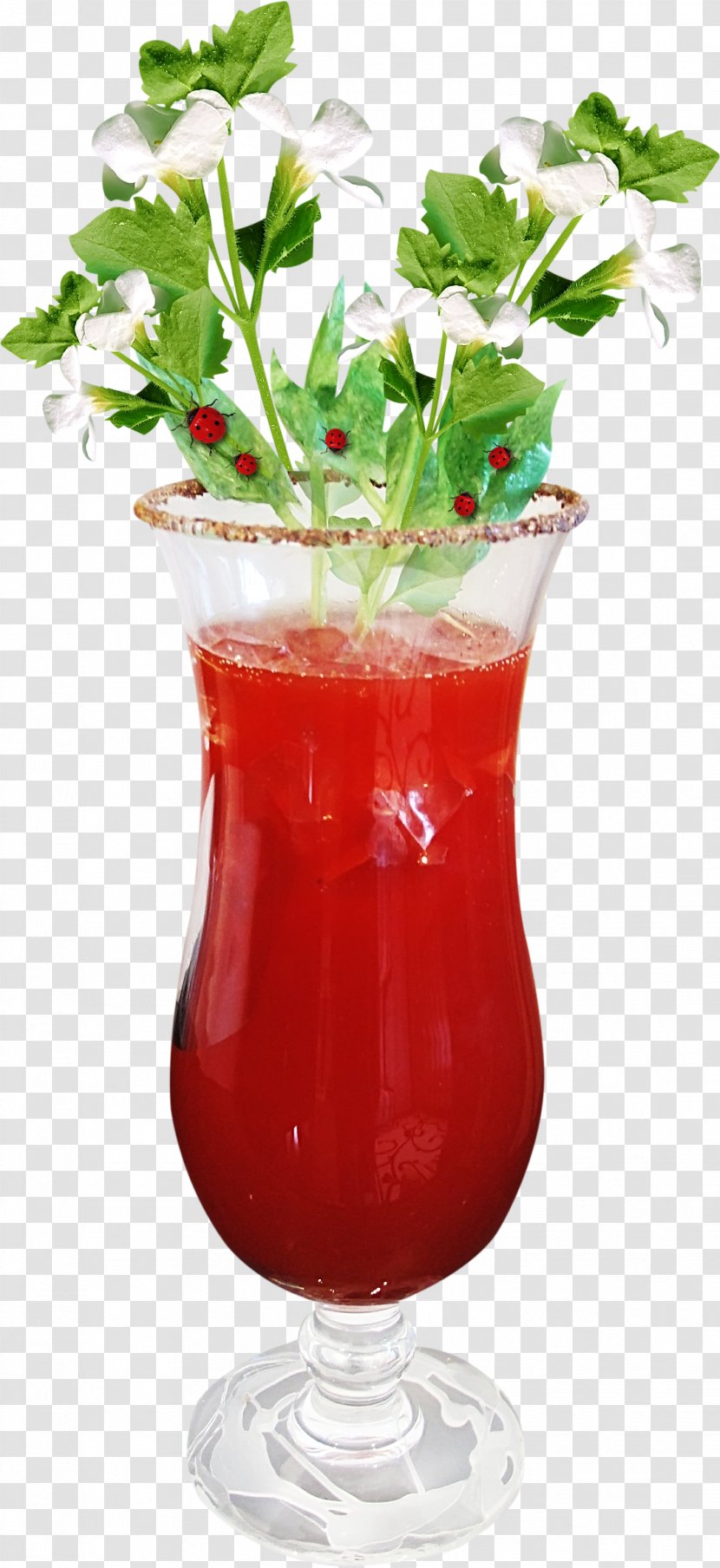Cocktail Garnish Tomato Juice Bloody Mary Sea Breeze - Fruit Transparent PNG