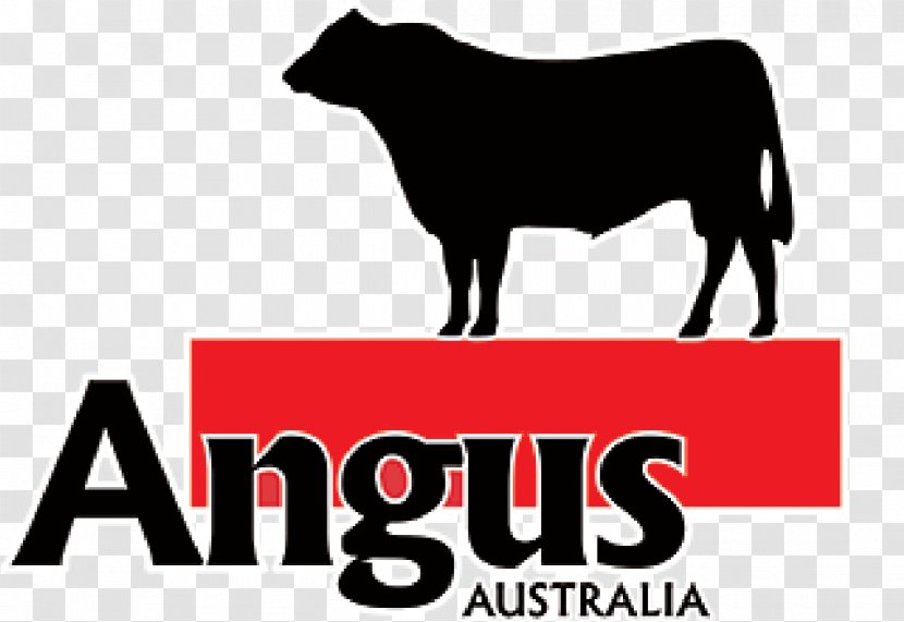 Angus Cattle Red Brangus Bald Blair Triple A - Wagyu - Bull Transparent PNG