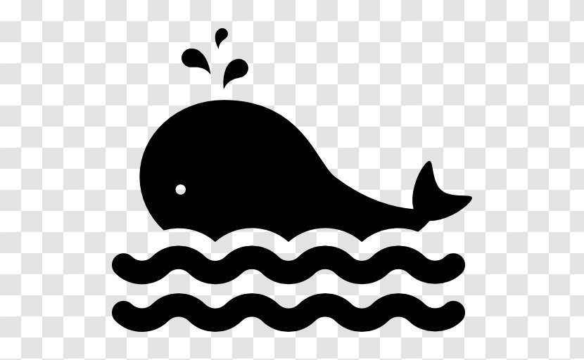 Cetacea - Black And White - Whale Spa Transparent PNG