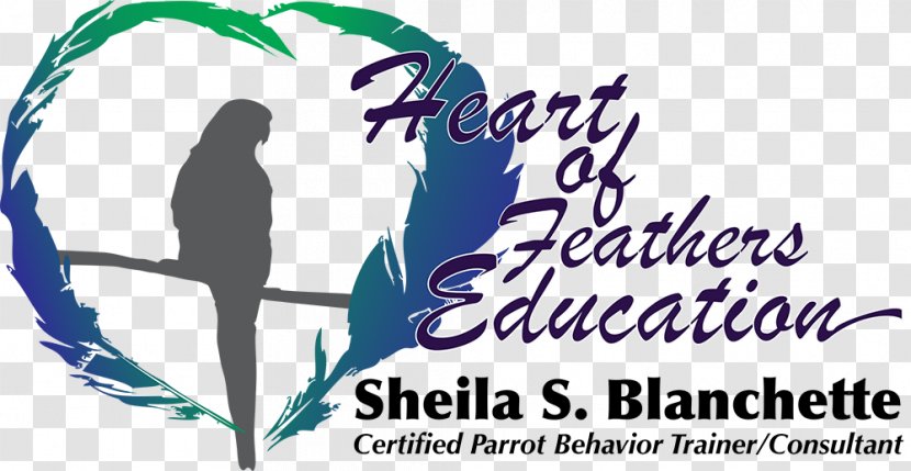 Bird Beak Education Behavior Feather - Vertebrate Transparent PNG