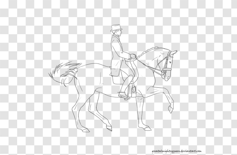 Mule Line Art Horse Sketch - Mammal Transparent PNG