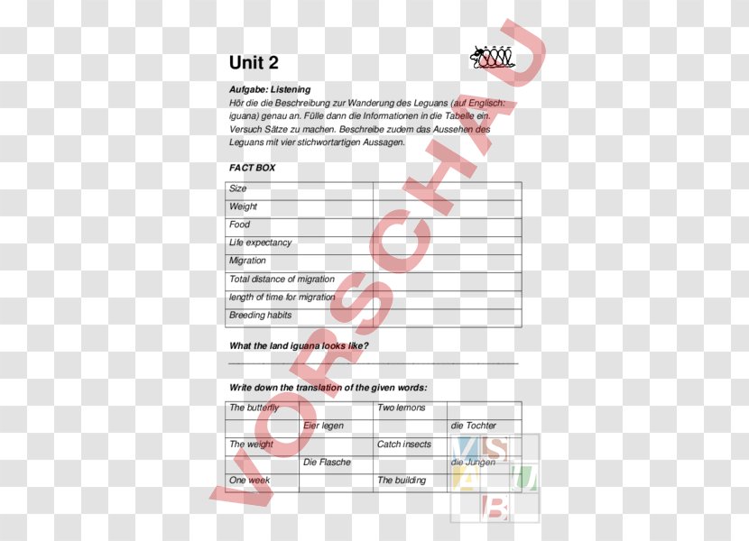 Document Line - Diagram - Material World Transparent PNG