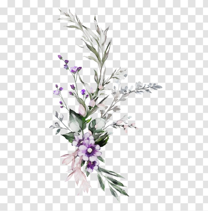 Rosemary - Plant Stem - Buddleia Bouquet Transparent PNG