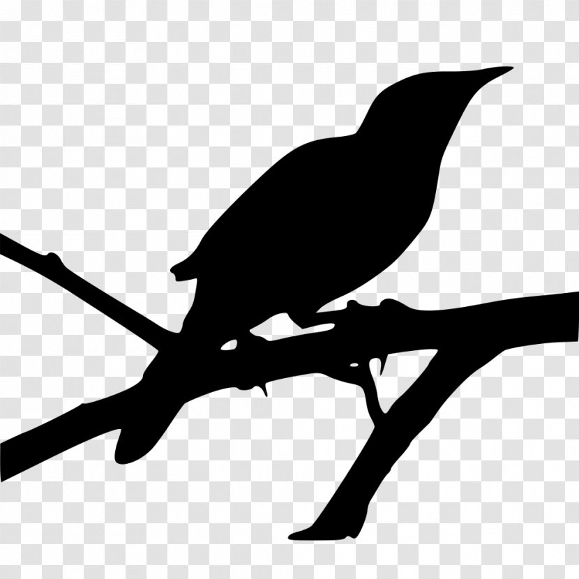 Mockingbird Clip Art Image Openclipart JPEG - Beak - Twig Transparent PNG