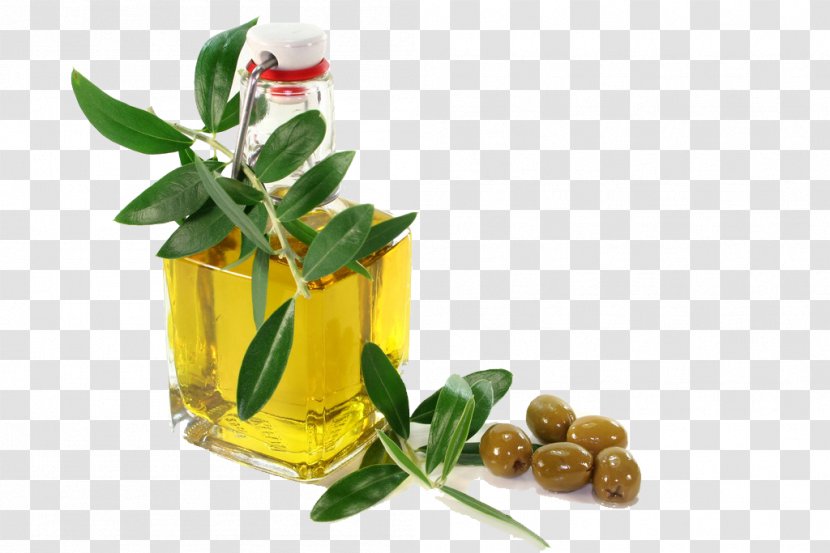 Olive Oil Machine Expeller Pressing - Herbalism - Natural Transparent PNG