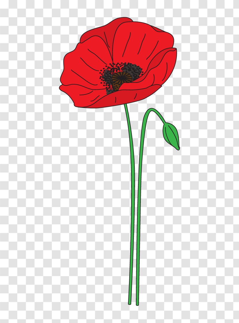 Remembrance Poppy Anzac Day Flower Clip Art - Petal Transparent PNG