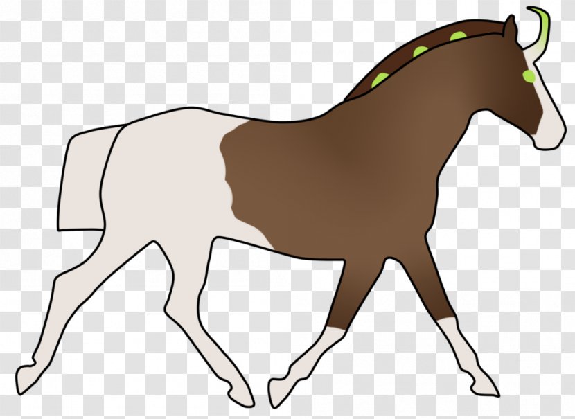 Mule Foal Stallion Colt Bridle - Mane - HR Open Day Transparent PNG