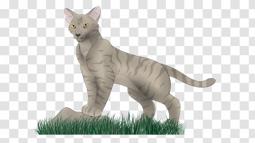 Whiskers Cat Wildlife Fauna Tail Transparent PNG