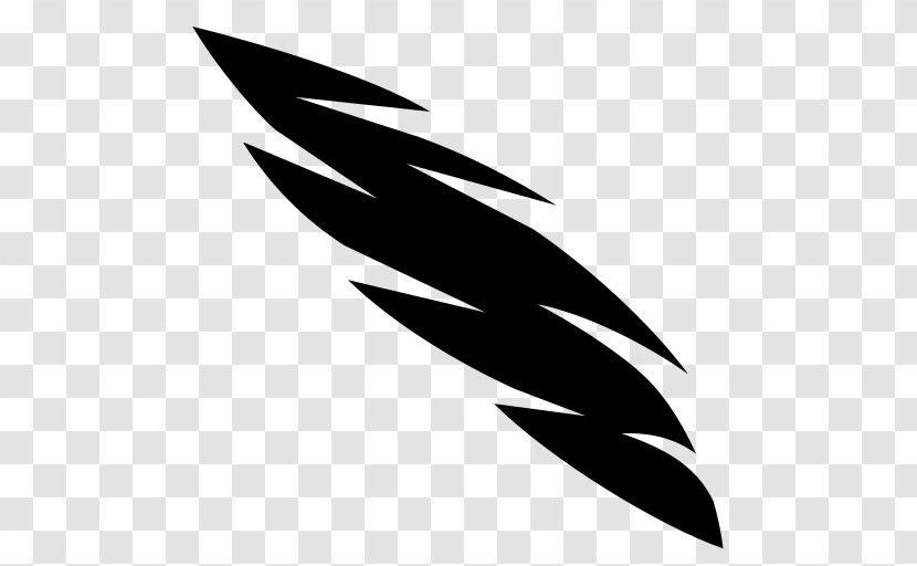 Feather Bird Monochrome Photography - Video Game - Wound Transparent PNG