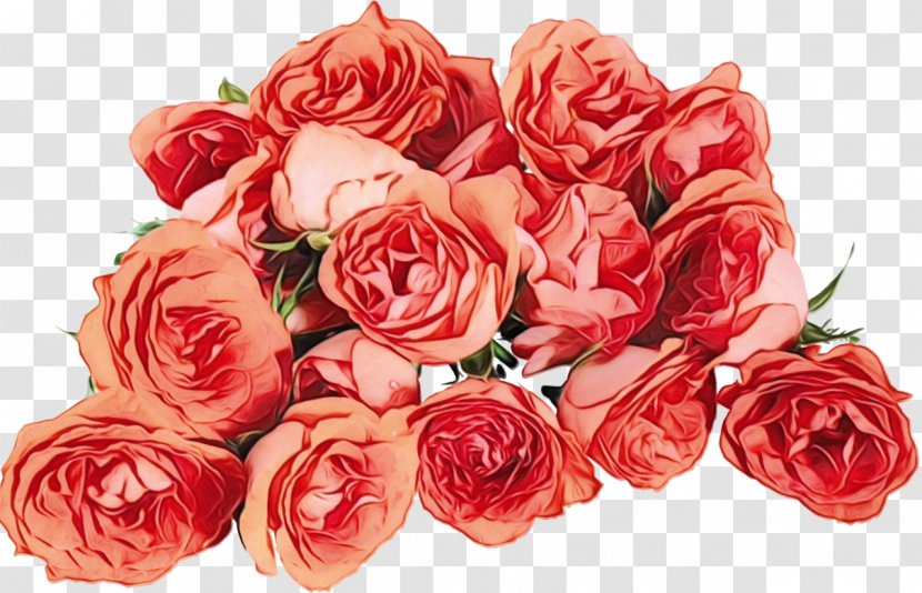 Garden Roses - Wet Ink - Plant Hybrid Tea Rose Transparent PNG