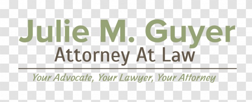 Julie M. Guyer Attorney At Law Guyer, Criminal Defense Lawyer - Trial Transparent PNG