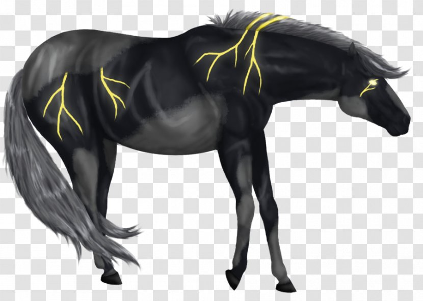 Mane Foal Stallion Mustang Mare - Horse Tack - Runner Shadow Transparent PNG