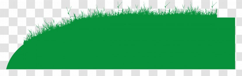 Area Angle Leaf Font - Text - Abstract Grass Transparent PNG