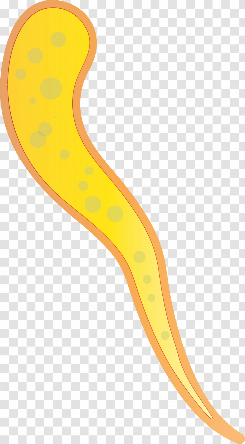 Yellow Flatworm Transparent PNG