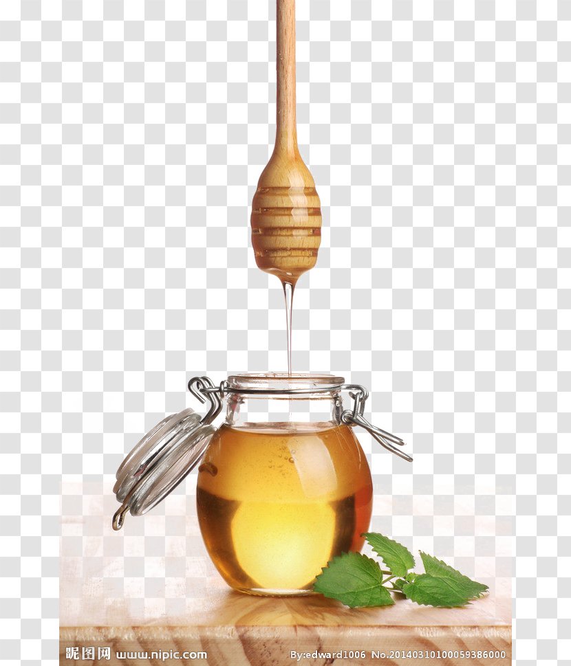 Bee Honey Avocado Skin Auglis - Care Transparent PNG