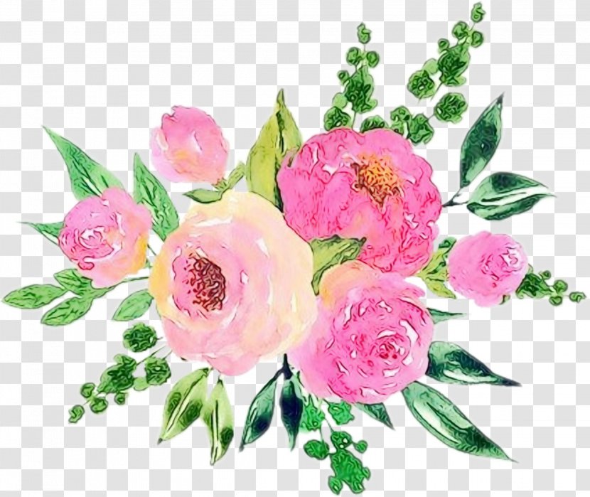 Garden Roses Cabbage Rose Cut Flowers Floral Design - Family - Chinese Peony Transparent PNG