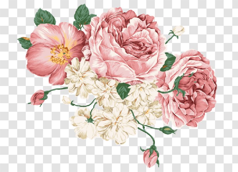 Flower Drawing Floral Design Desktop Wallpaper - Plant - Aestheticism Transparent PNG
