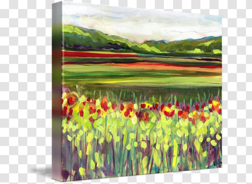 Mount Vernon Skagit Valley Tulip Festival Painting Printing - Field Transparent PNG
