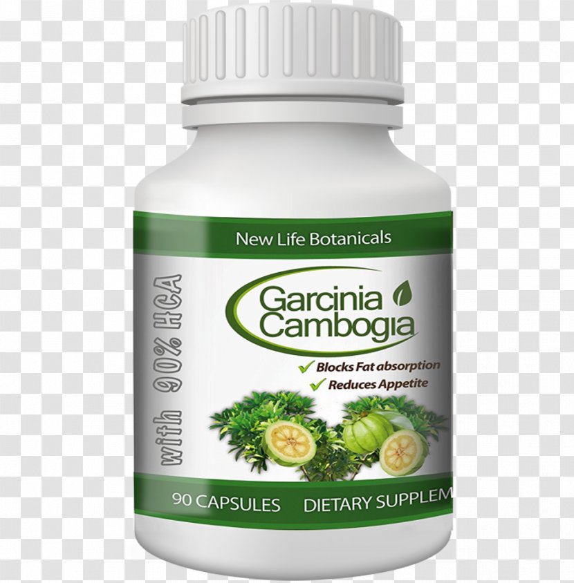 Garcinia Gummi-gutta Dietary Supplement Hydroxycitric Acid Asam Gelugur Indica - Mehmet Oz - Prainiana Transparent PNG