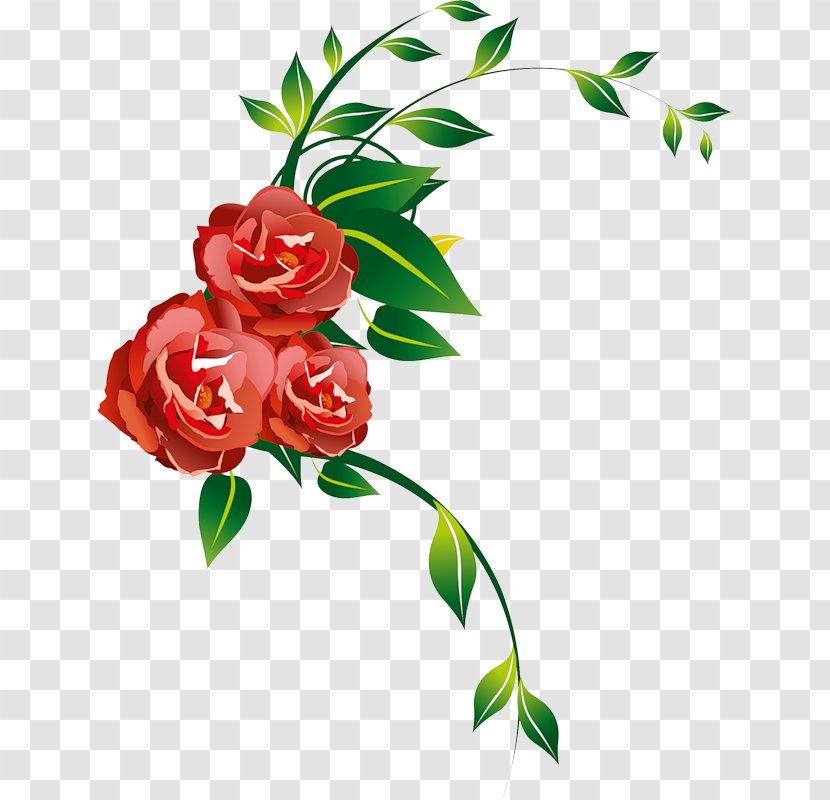 Garden Roses Flower Floral Design Clip Art - Flowering Plant Transparent PNG