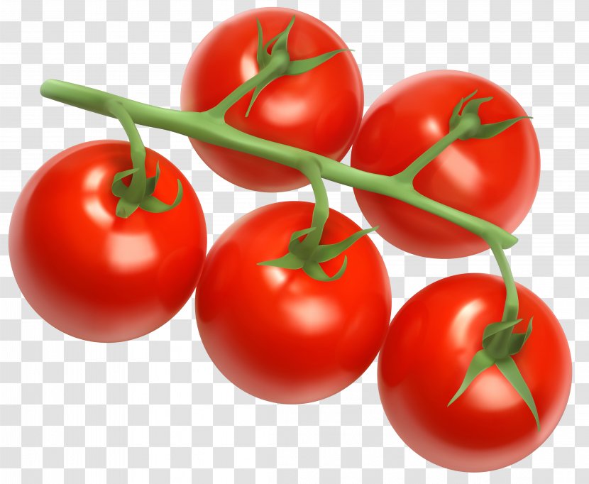 Cherry Tomato Vegetable Clip Art - Nightshade Family - Tomatos Cliparts Transparent PNG