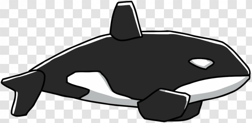 Killer Whale Marine Mammal Scribblenauts Whales Dolphin - Wiki Transparent PNG