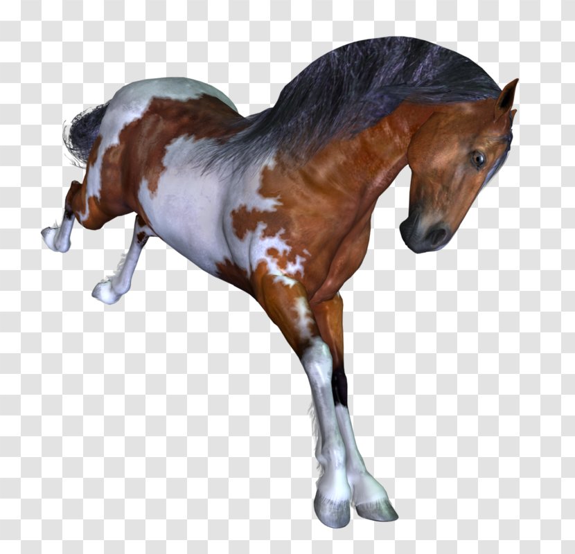 Unicorn - Liver - Livestock Toy Transparent PNG